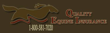 Quality Equine Insurance - Farm Insurance